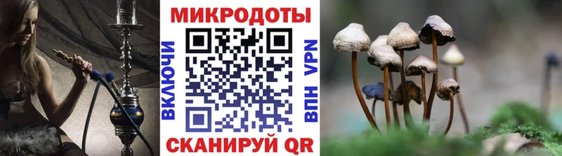 Галлюциногенные грибы прущие грибы  Родники 
