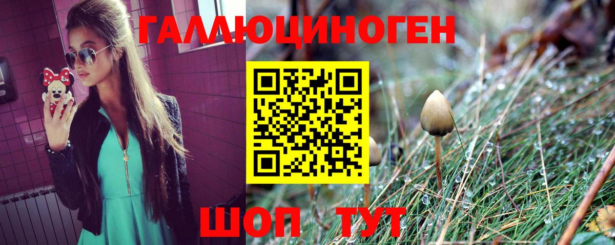 Псилоцибиновые грибы мухоморы  Вход с VPN  Родники  Галлюциногенные грибы Psilocybe 