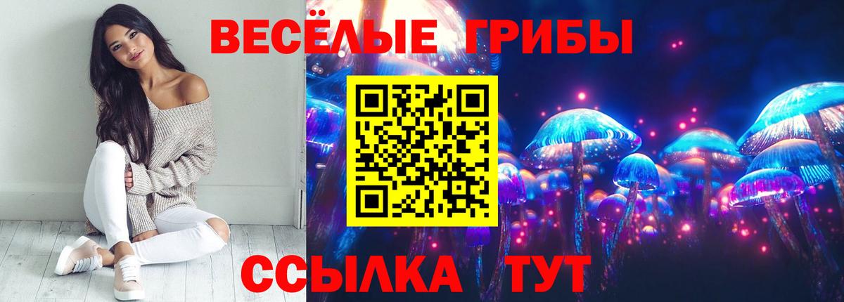 Галлюциногенные грибы мухоморы Родники